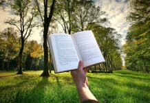 Story Ventures seeking up to $40m for data-driven startups fund
