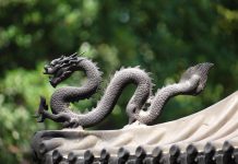 IDEX, Chutian Dragon partner for biometric cards