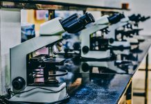 Arkose Labs closes PayPal investment, just months after Series A close