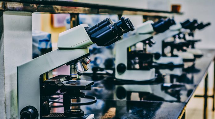 Arkose Labs closes PayPal investment, just months after Series A close