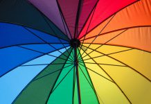 FRISS survey finds insurers increasingly interested in fraud detection software