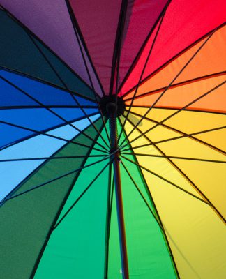 FRISS survey finds insurers increasingly interested in fraud detection software