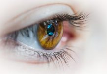 Softbank taps up Nok Nok Labs for biometric authentication for mobile users