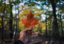 The Canadian Bankers Association said to call for federated biometrics