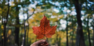 The Canadian Bankers Association said to call for federated biometrics