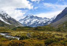 Payments NZ releases first API standard for payments