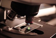 Sayata Labs secures $6.5m in its seed round of funding, launches from stealth