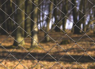 LinkSquares bags $4.8m in oversubscribed round