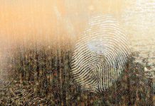 Zwipe partners with TAG systems to launch biometric payment card