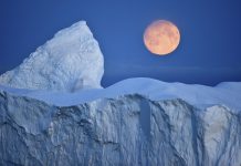 Arctic Intelligence welcomes Unity Bank as its latest customer