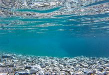 Aqua Security receives $62m in Series C