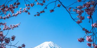 Venafi partners with GMO GlobalSign and NBI to support move to Japanese market