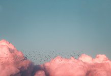 HID Global launches identity management platform for the cloud