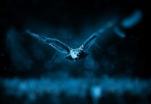 Hunters.AI scores $5.4m in seed funding round