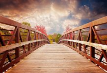 Risk management startup MindBridge secures $29.6m Series B