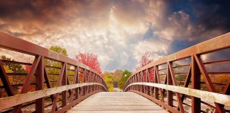 Risk management startup MindBridge secures $29.6m Series B