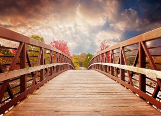 Risk management startup MindBridge secures $29.6m Series B