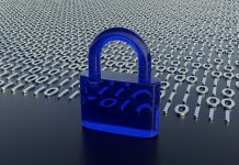 Cyber-focused YL Ventures pulls in $120m for Fund IV
