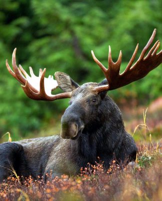 Fintech Select’s subsidiary served with $633,284 statement of claim