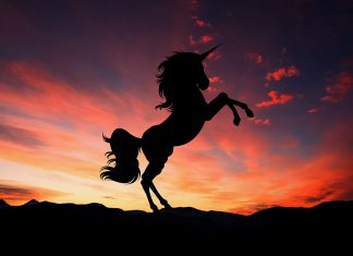 Icertis raises $115m in Series E, valuing the company over $1bn