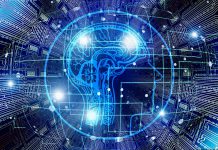 Blockchain-based CRM platform Cere Network nets $3.5m in its seed round