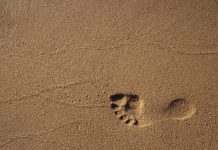 The Monetary Authority of Singapore unveils new sandbox option to boost FinTech innovation