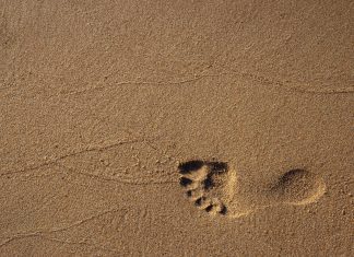 The Monetary Authority of Singapore unveils new sandbox option to boost FinTech innovation