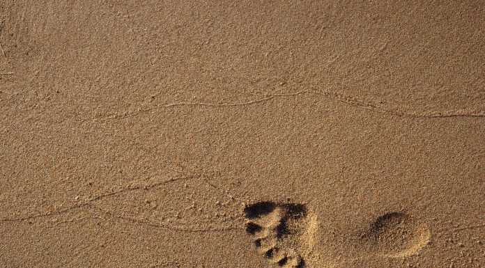 The Monetary Authority of Singapore unveils new sandbox option to boost FinTech innovation