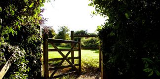 OpenGate buys majority stake in InRule Technology