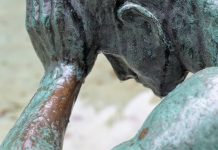 APRA chairman blames Australian finance sector’s trust crisis on failure to self-regulate