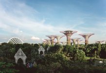 Vulcan Capital opens Singapore office, with plans to invest $100m in region