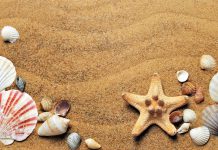 Reserve Bank of India releases final framework for regulatory sandbox
