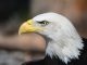 The Federal Reserve Board is giving stakeholders more time to comment on new risk-capital requirements rules