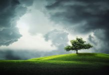 Third of global banking industry adopt UN’s responsible banking goals to fight climate change