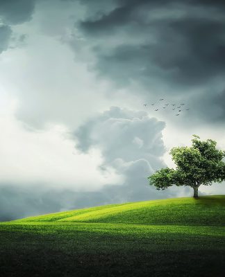 Third of global banking industry adopt UN’s responsible banking goals to fight climate change