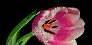 The Dutch central bank is warning cryptocurrency exchanges and digital wallet providers to get their affairs in order