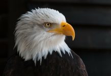 Block.one settles SEC lawsuit by paying $24m fine for trading an unregistered ICO