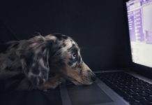 Stardog collects $9m to support product launches