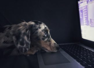 Stardog collects $9m to support product launches