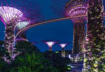 The Monetary Authority of Singapore has banned four financial professionals after they were found guilty of fraud