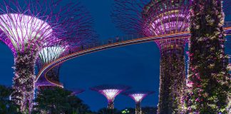 The Monetary Authority of Singapore has banned four financial professionals after they were found guilty of fraud