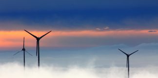 FCA outlines plans for Green Finance