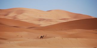 HPS has been given an information security management certification