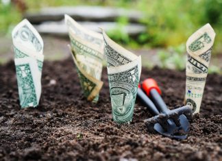 Quantivate picks up undisclosed investment from Luminate Capital Partners