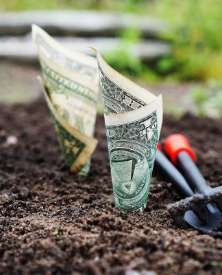 Quantivate picks up undisclosed investment from Luminate Capital Partners