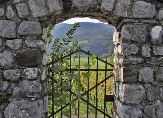 LogicGate collects $24m in funding to support team growth initiative