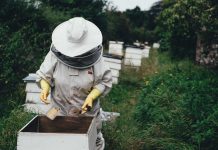 Amazon told users to uninstall Honey for security reasons just days after PayPal bought the startup for $4bn