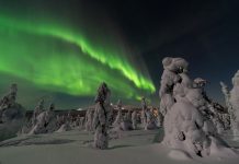 Neonomics to launch PSD2 payment solution in Finland