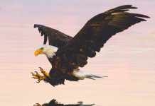 Will the US remain the RegTech top dog as new hotbeds are on the rise around the world?