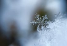 Snowflake hits $12bn valuation after fundraise